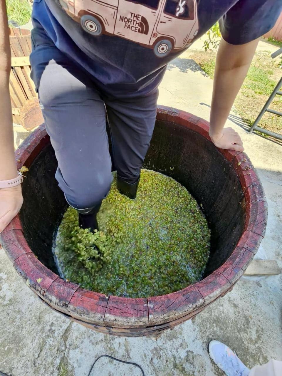 Guesthause Bagdati Buitenkant foto
